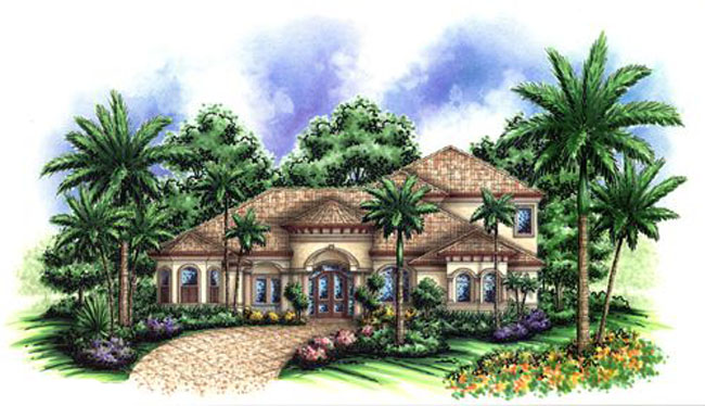 F2-4381 Royal Palm-0