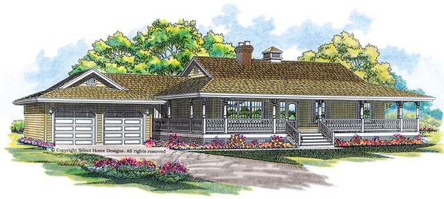 SGD-SEA091-0